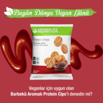 Barbekü Aromalı Protein Cips 10’lu Koli